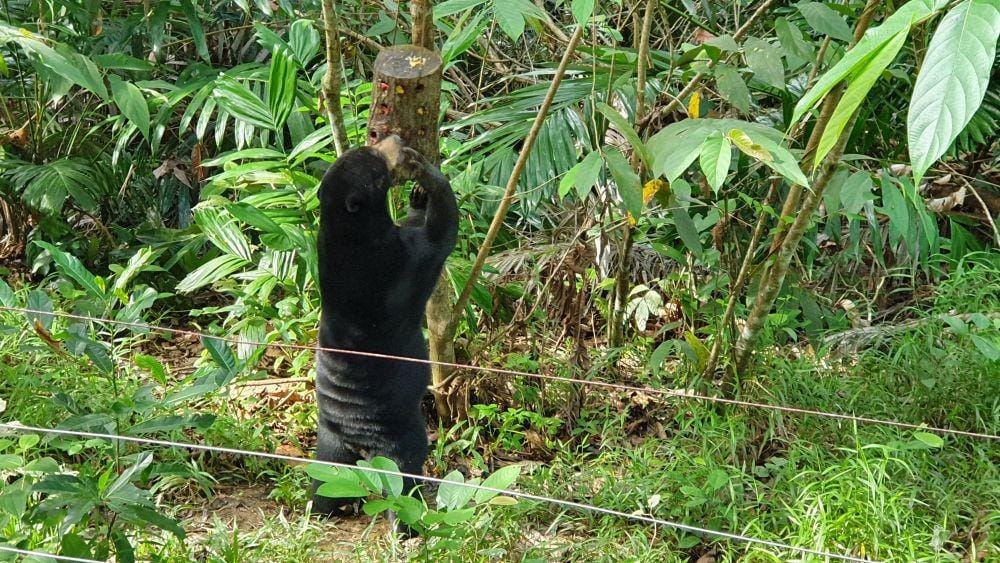 IDN Times/Mela Hapsari