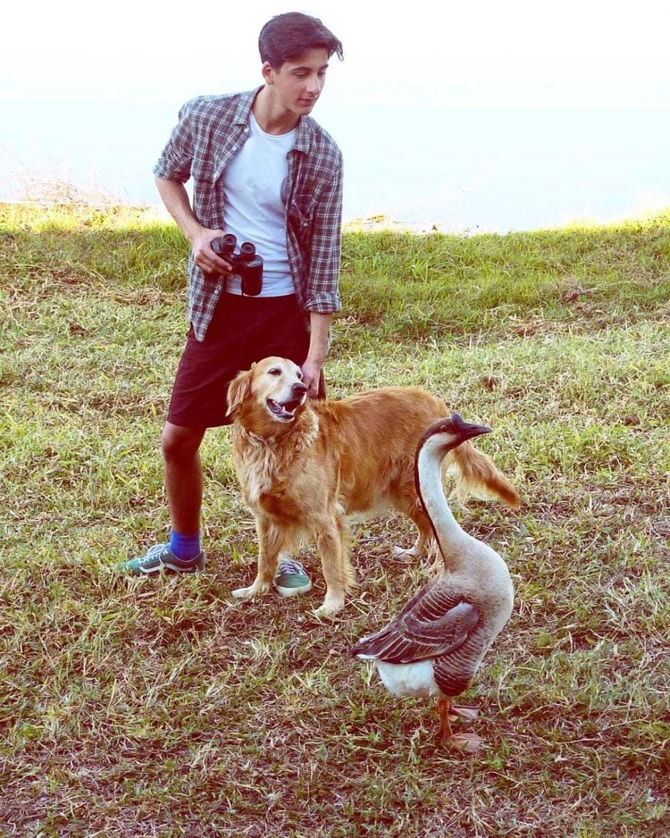 Instagram.com/lino.facioli