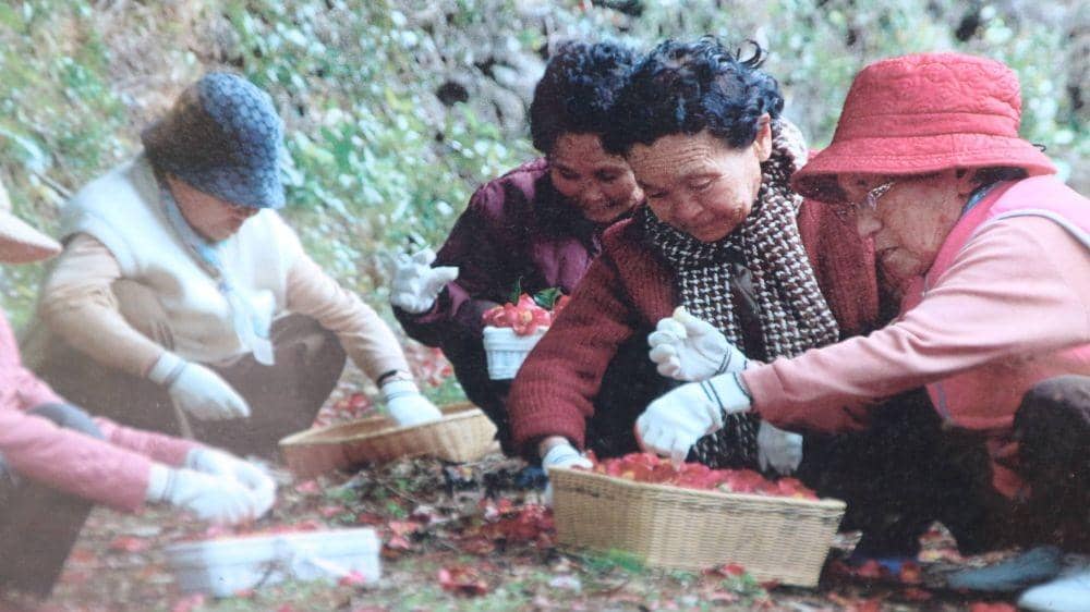 IDN Times/Anastasia Desire