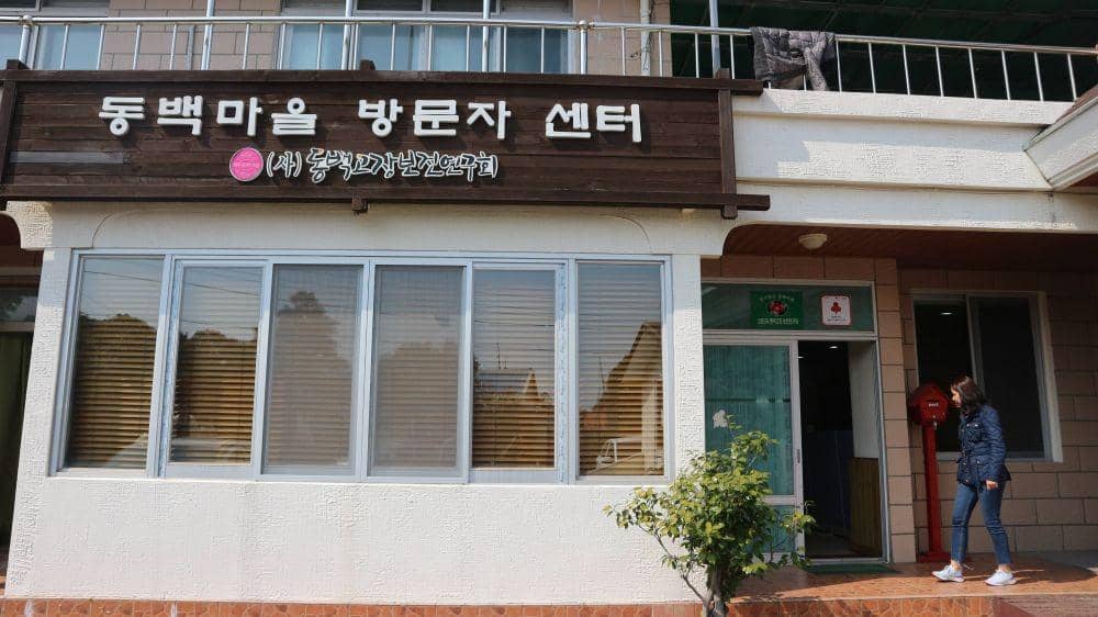 IDN Times/Anastasia Desire