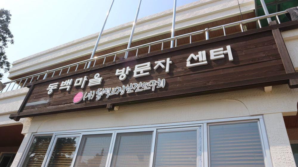 IDN Times/Anastasia Desire