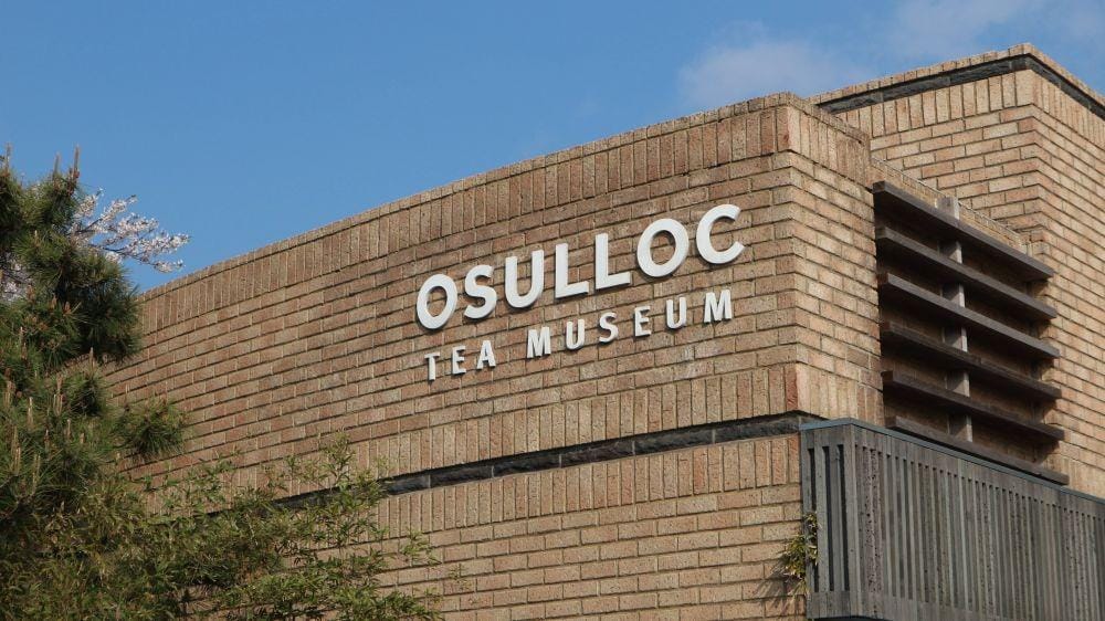 IDN Times/Anastasia Desire