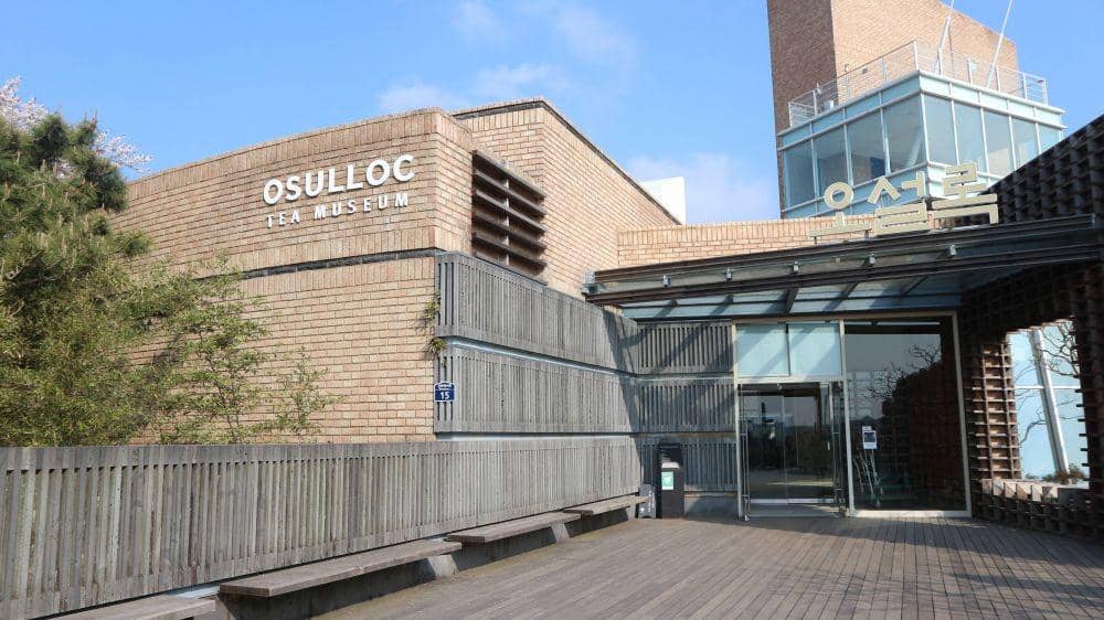 IDN Times/Anastasia Desire