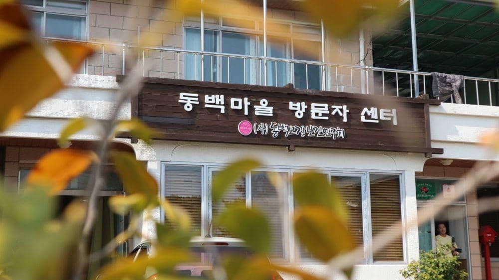 IDN Times/Anastasia Desire