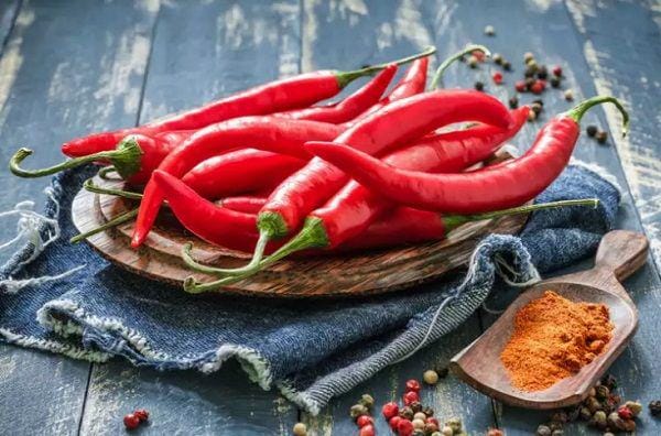 timesofindia.indiatimes.com