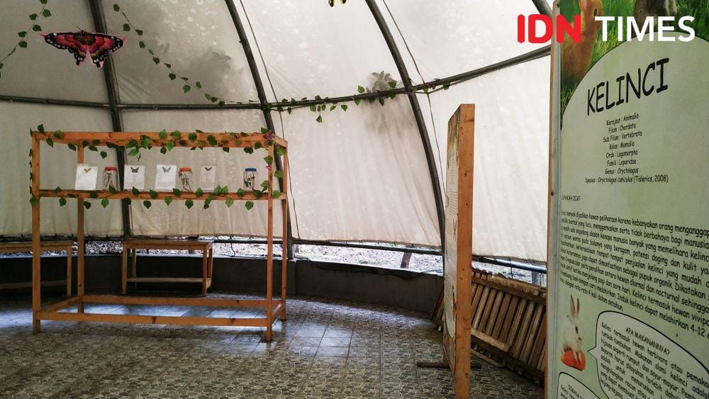 IDN Times/Muhamad Iqbal