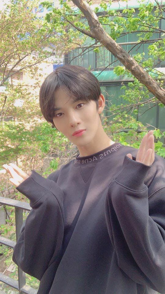 twitter.com/OFFICIAL_C9BOYZ