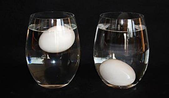 food-hacks.wonderhowto.com