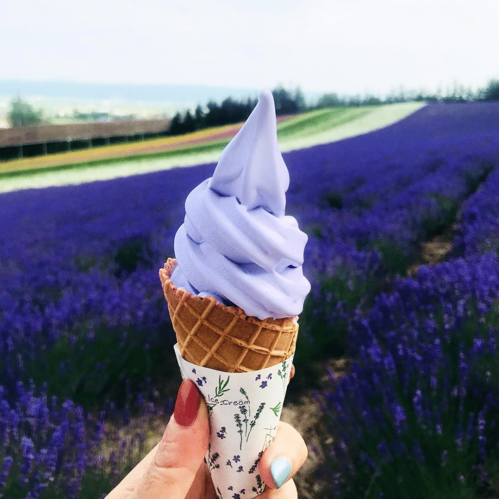 instagram.com/annyberry