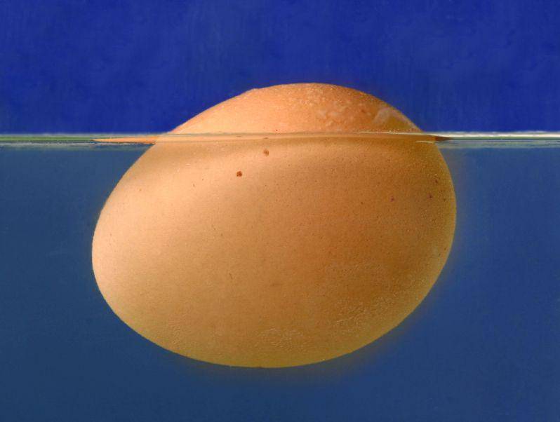 eggsafety.org