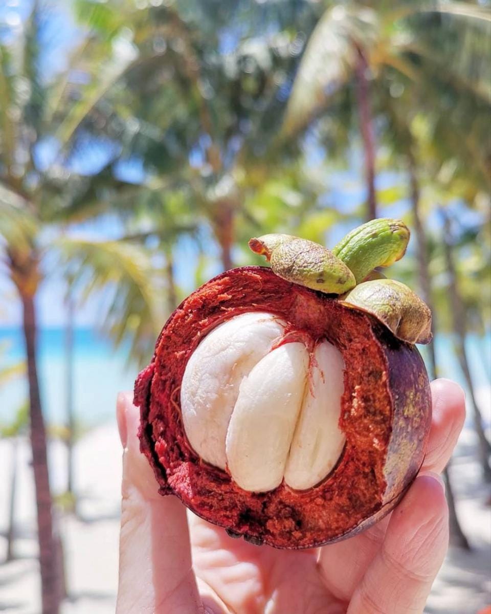 instagram.com/naturascha