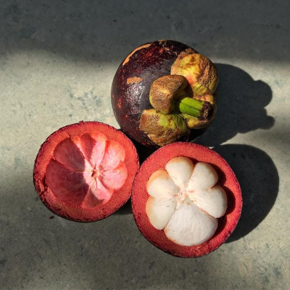 instagram.com/nic_in_the_garden