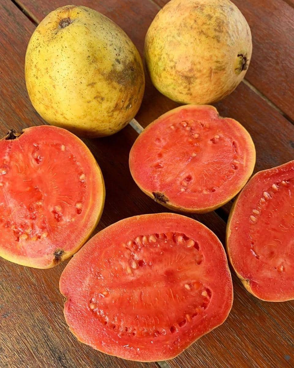 instagram.com/rawexpansion