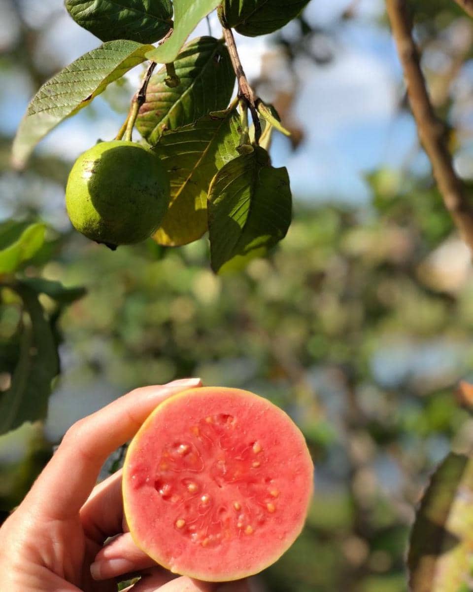 instagram.com/beyondthepose