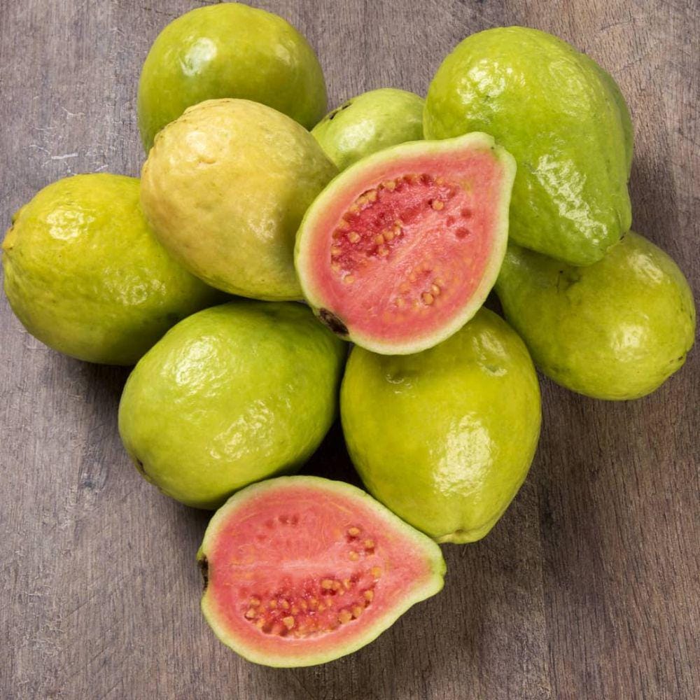 instagram.com/fruttaweb