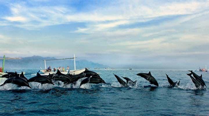 bintangbalitourpackages.com