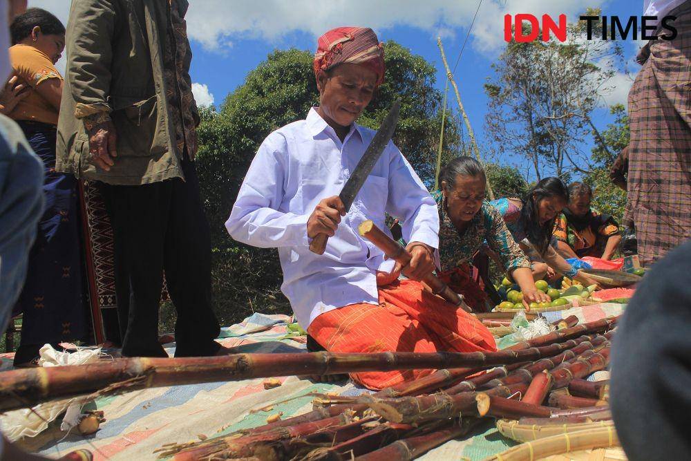 IDN Times/Arifin Al Alamudi