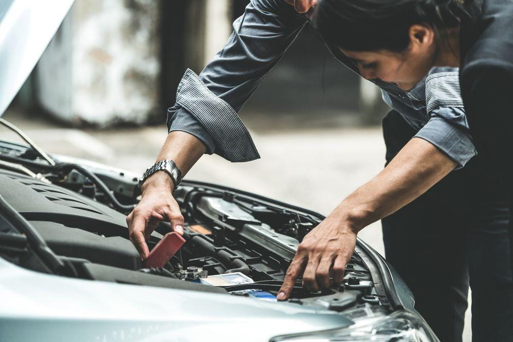 Shutterstock/Blue Planet Studio