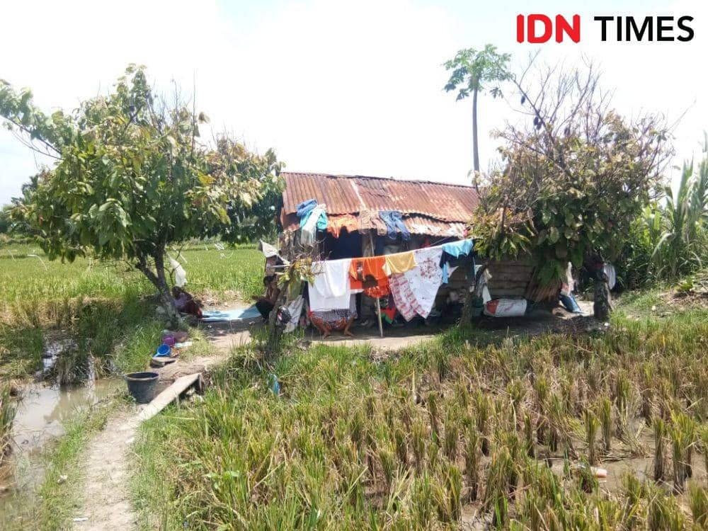 IDN Times/Gideon Aritonang