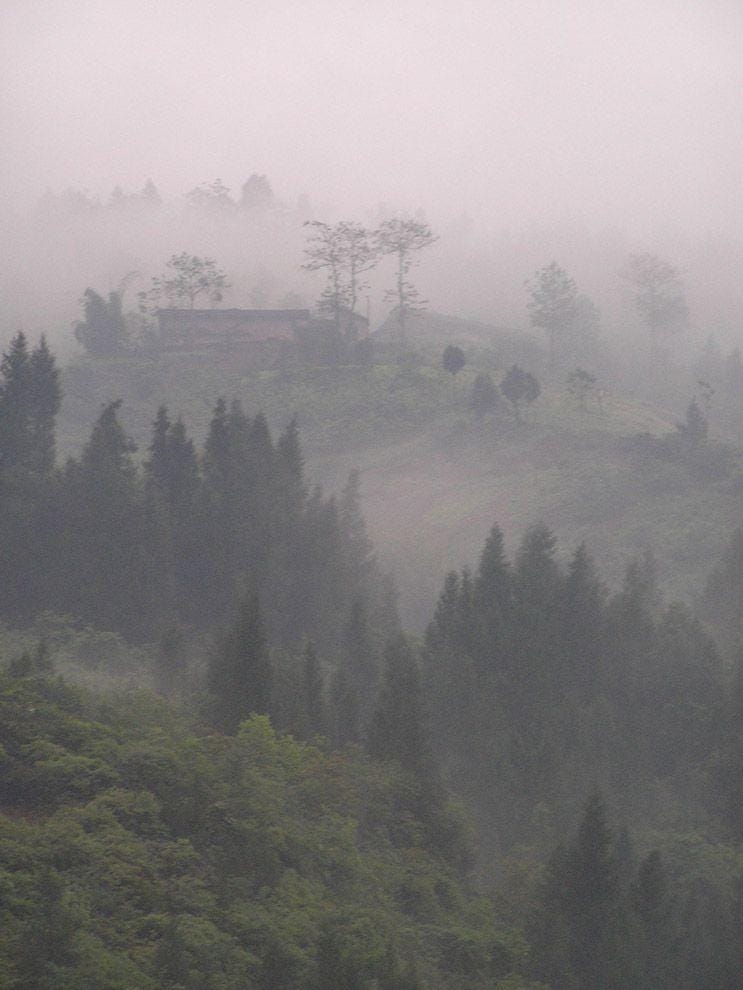 nationalgeographic.org