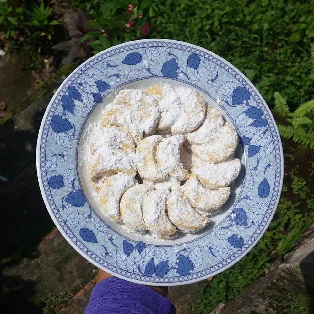 instagram.com/novipurfrida