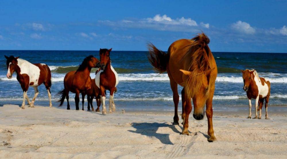 vantageoceancity.com/