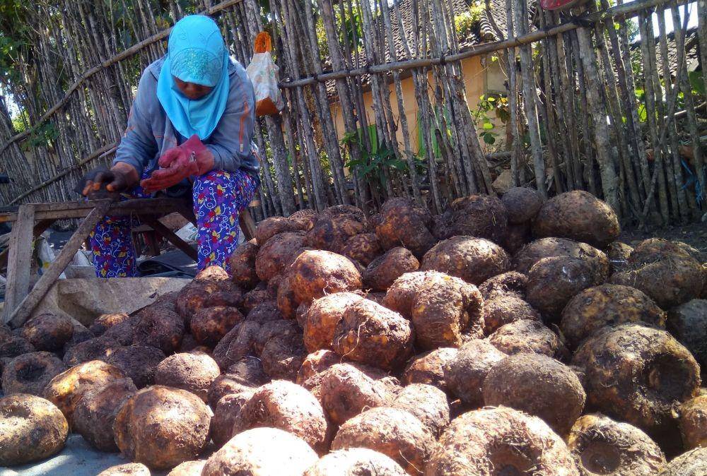 IDN Times/Nofika Dian Nugroho