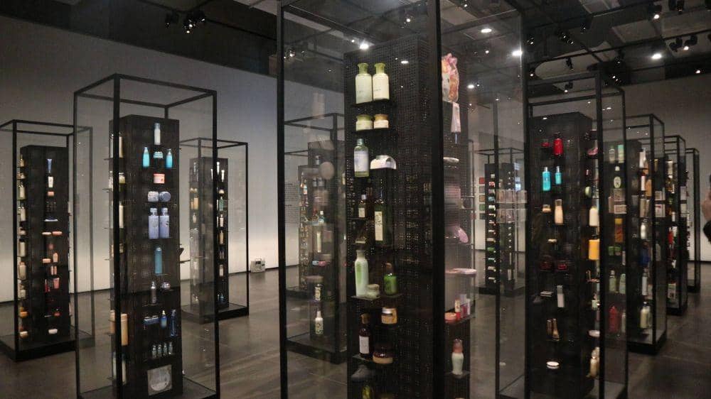 IDN Times/Anastasia Desire