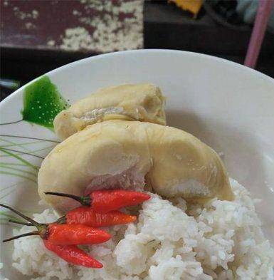 berbagai sumber