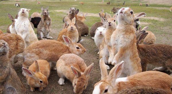 theworldnewsproject.com