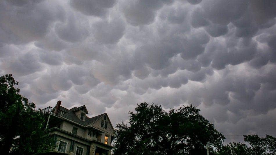 mondrian.mashable.com