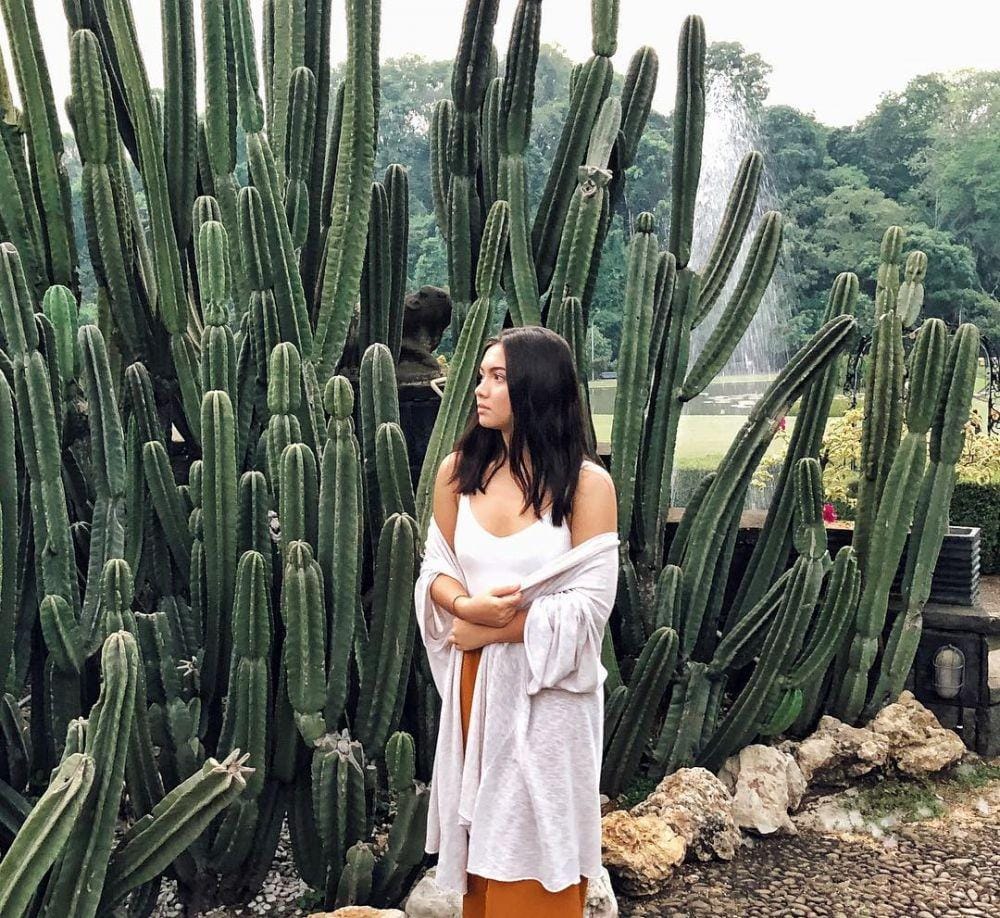 instagram.com/angelagilsha