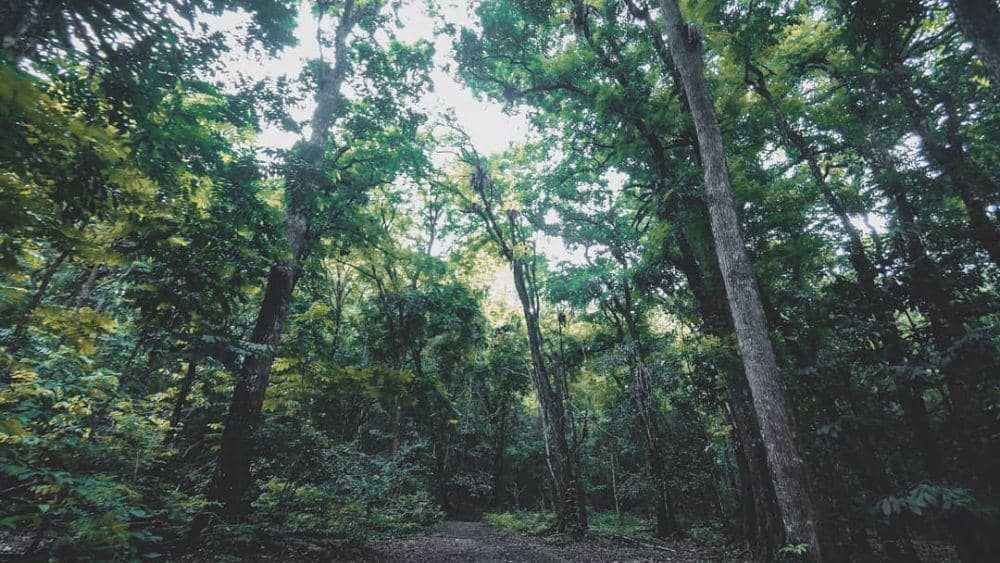 instagram/cagaralampangandaran