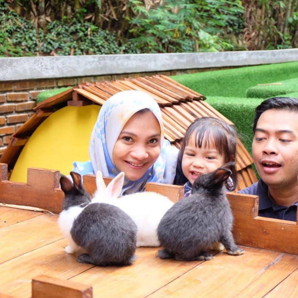 instagram.com/hanumrais