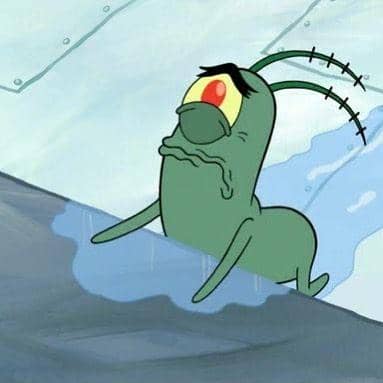 Instagram.com/palaye_ragdoll