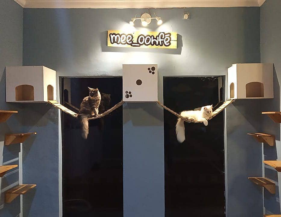 instagram.com/mee_oowfe