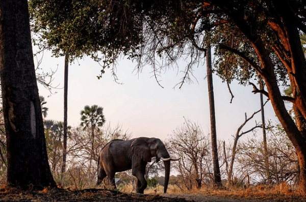 twitter.com/rhjameson