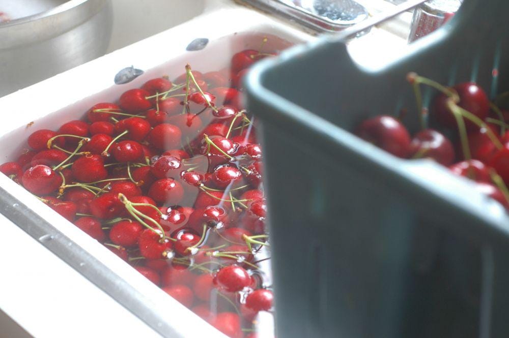 theelliotthomestead.com