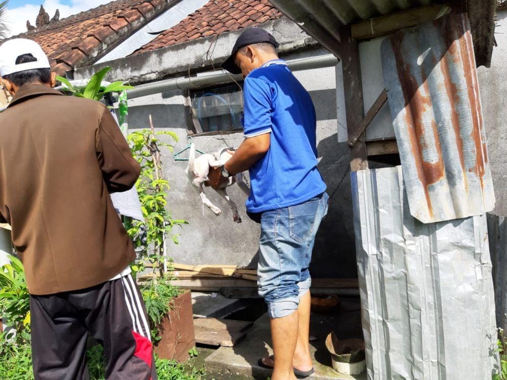 Dok.IDN Times/Istimewa