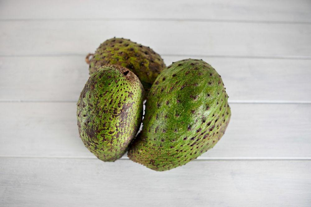 plantfoodfederation.com