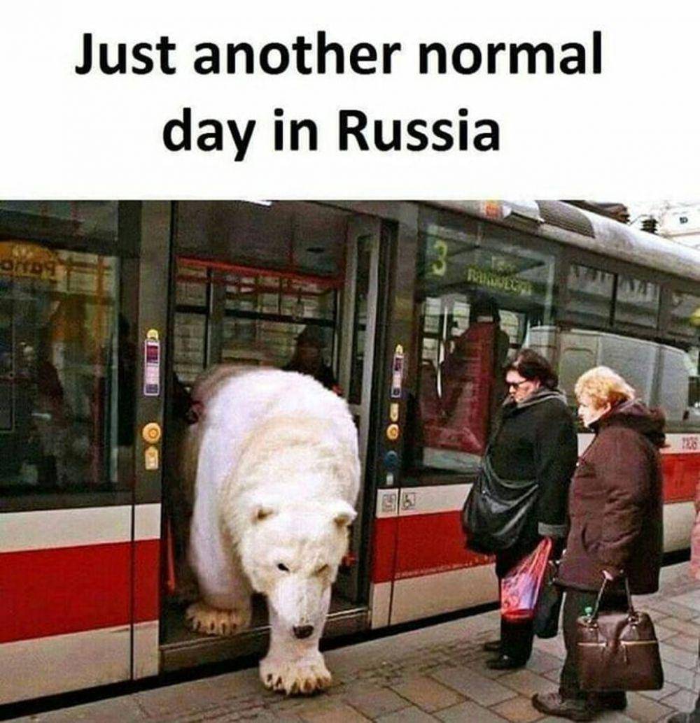 9gag