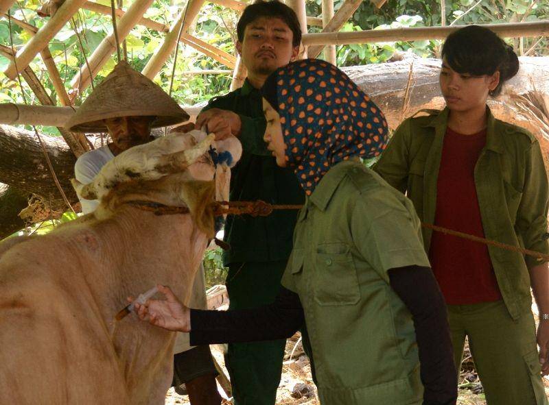IDN Times/Humas UGM