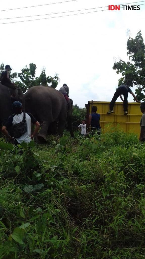 Dok.IDN Times/Istimewa