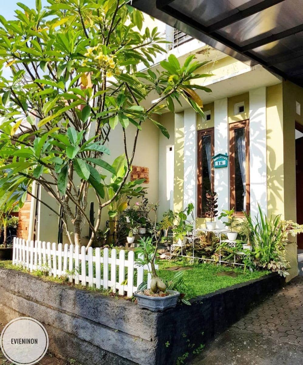 instagram.com/evieninon