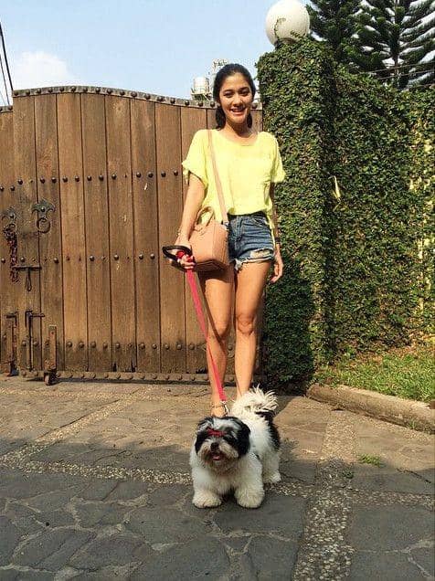 instagram.com/naymirdad