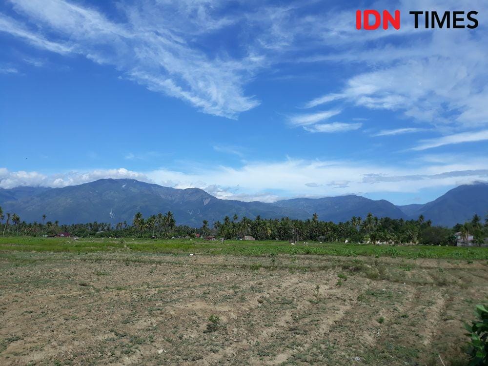 IDN Times/Indiana Malia