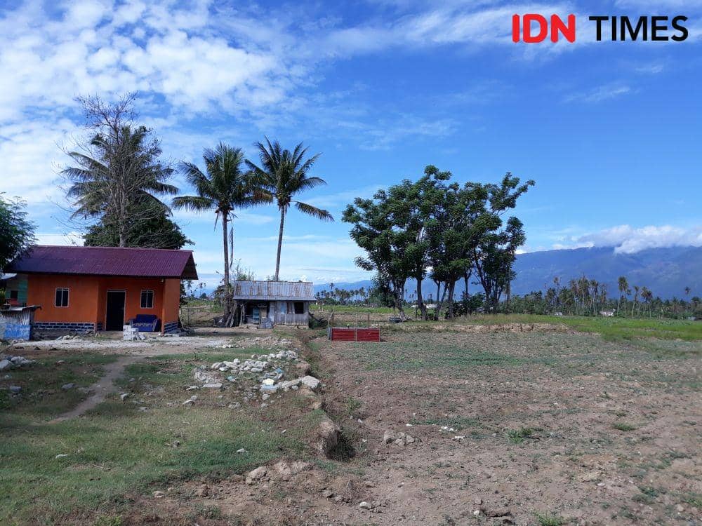 IDN Times/Indiana Malia