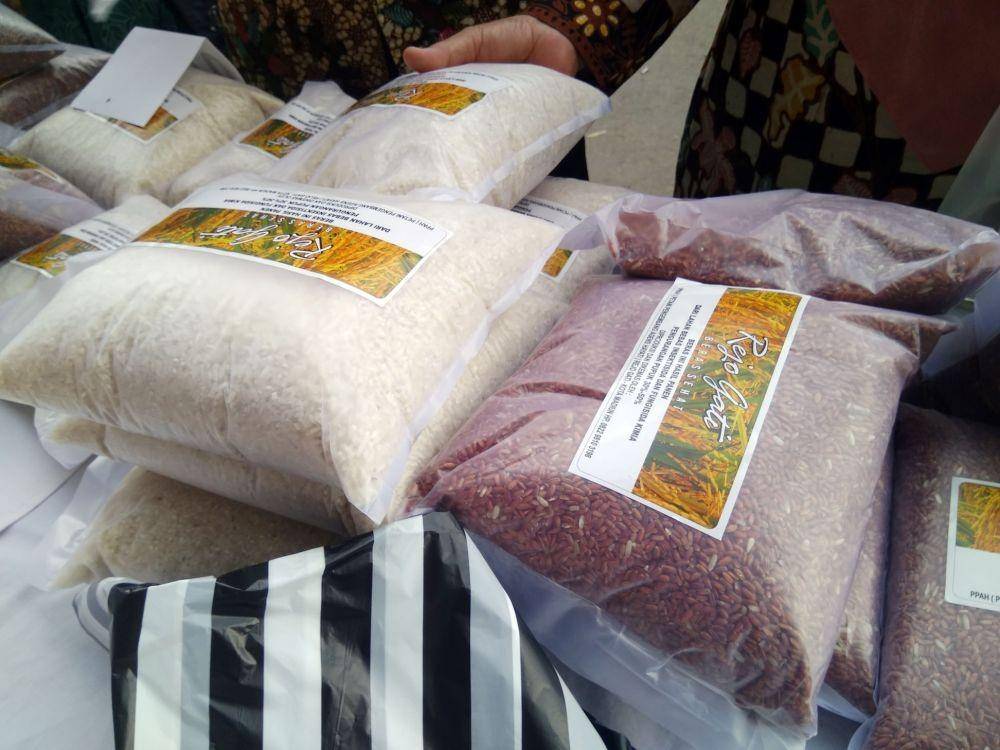 IDN Times/Nofika Dian Nugroho