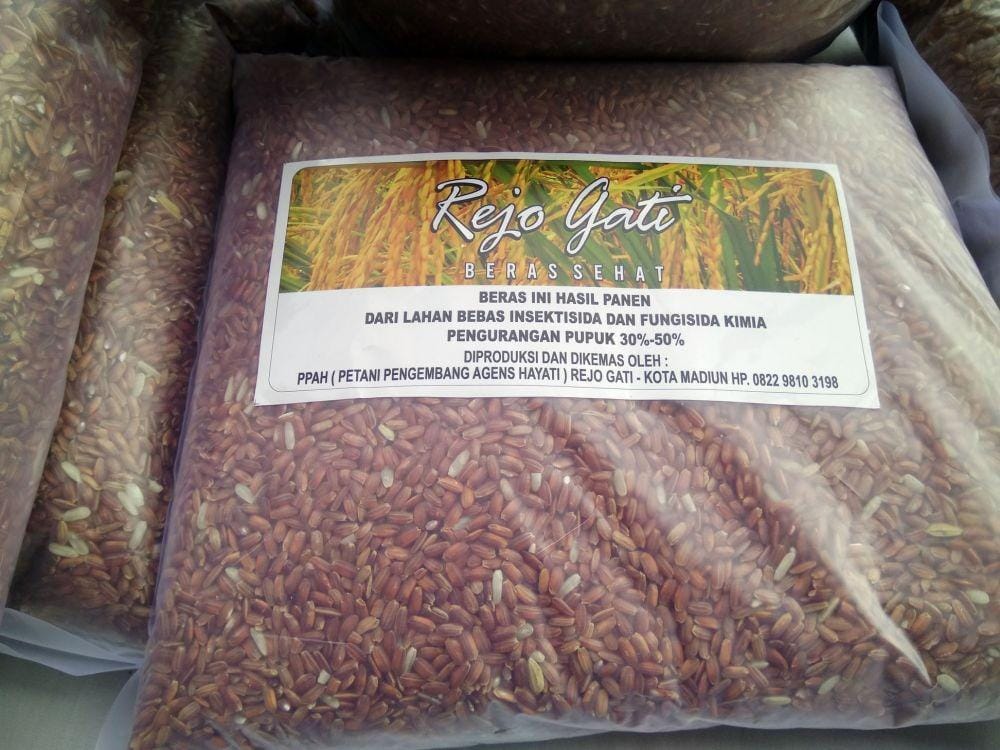 IDN Times/Nofika Dian Nugroho