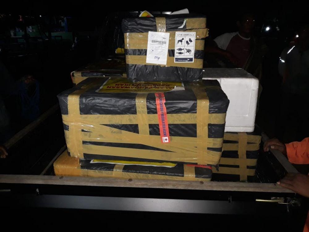 IDN Times/Daruwaskita